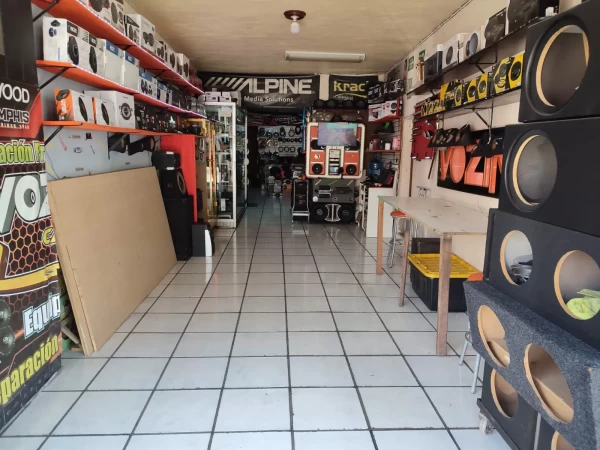 Portada de Vozina Car Audio